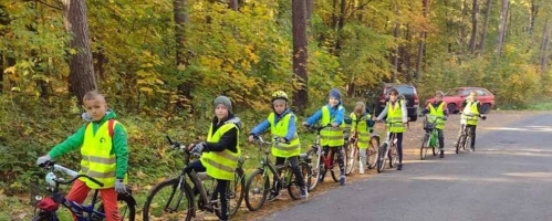 Wycieczka rowerowa do lasu